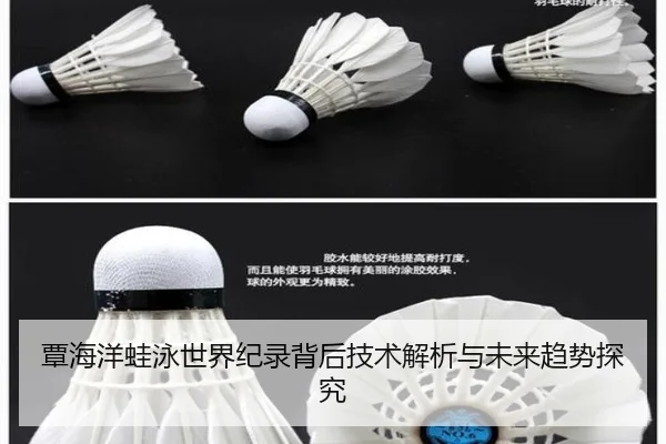 覃海洋蛙泳世界纪录背后技术解析与未来趋势探究